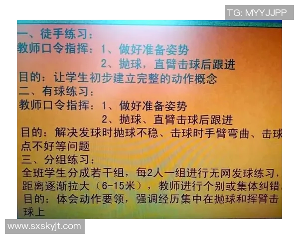 从零起步掌握排球技巧与战术全解析助你成为排球高手