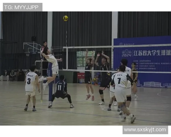 北京排球队的奋斗与荣耀：一段不平凡的排球纪实之旅