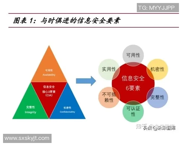 广州篮球队技术分析与战术创新的深度探讨与展望