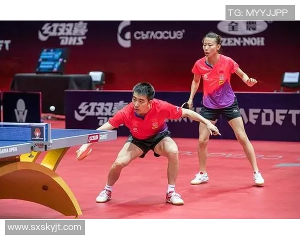 广州乒乓球队引领最新乒乓球节奏TOP10榜单精彩表现回顾