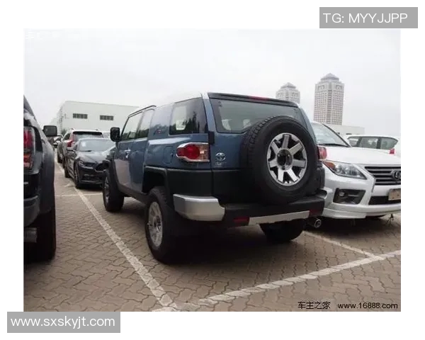 西安网球队在洲际杯积分榜中以95分稳居第一名展现强劲实力