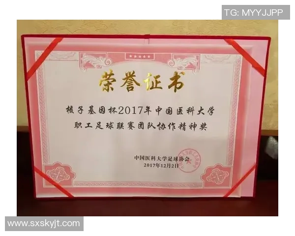 上海篮球队杯赛表现分析：个人能力如何影响整体战绩与团队协作