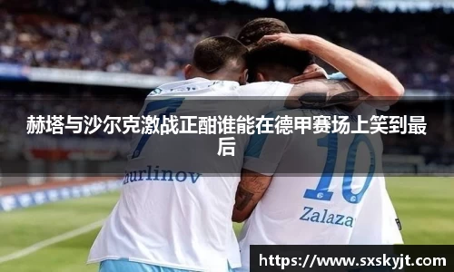 赫塔与沙尔克激战正酣谁能在德甲赛场上笑到最后