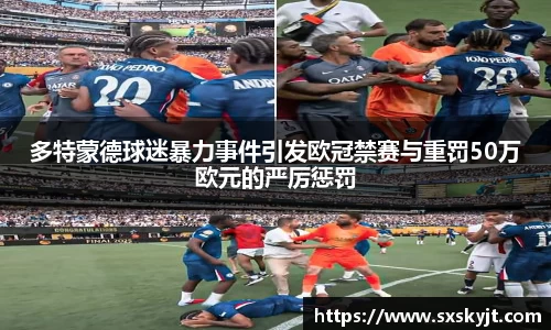 多特蒙德球迷暴力事件引发欧冠禁赛与重罚50万欧元的严厉惩罚